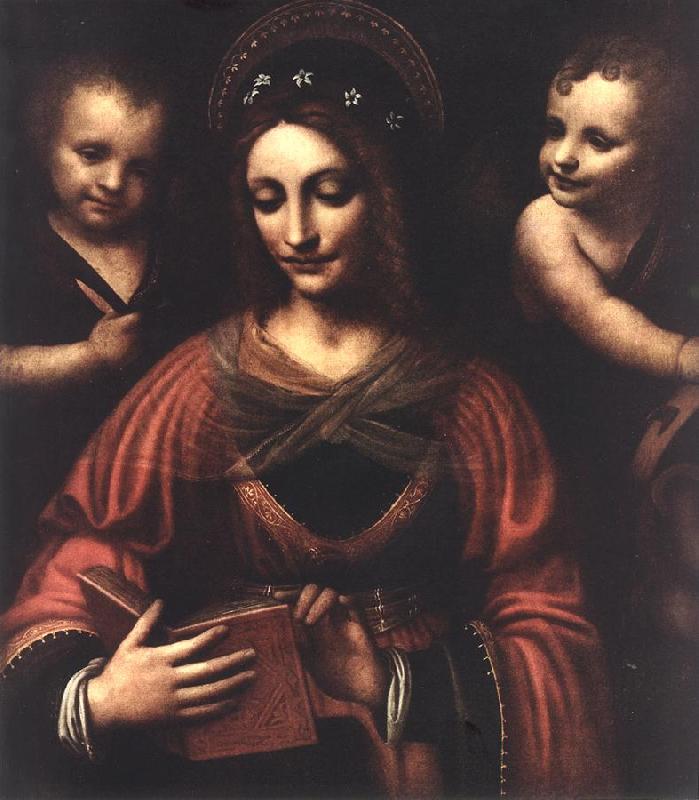 LUINI, Bernardino Saint Catherine a